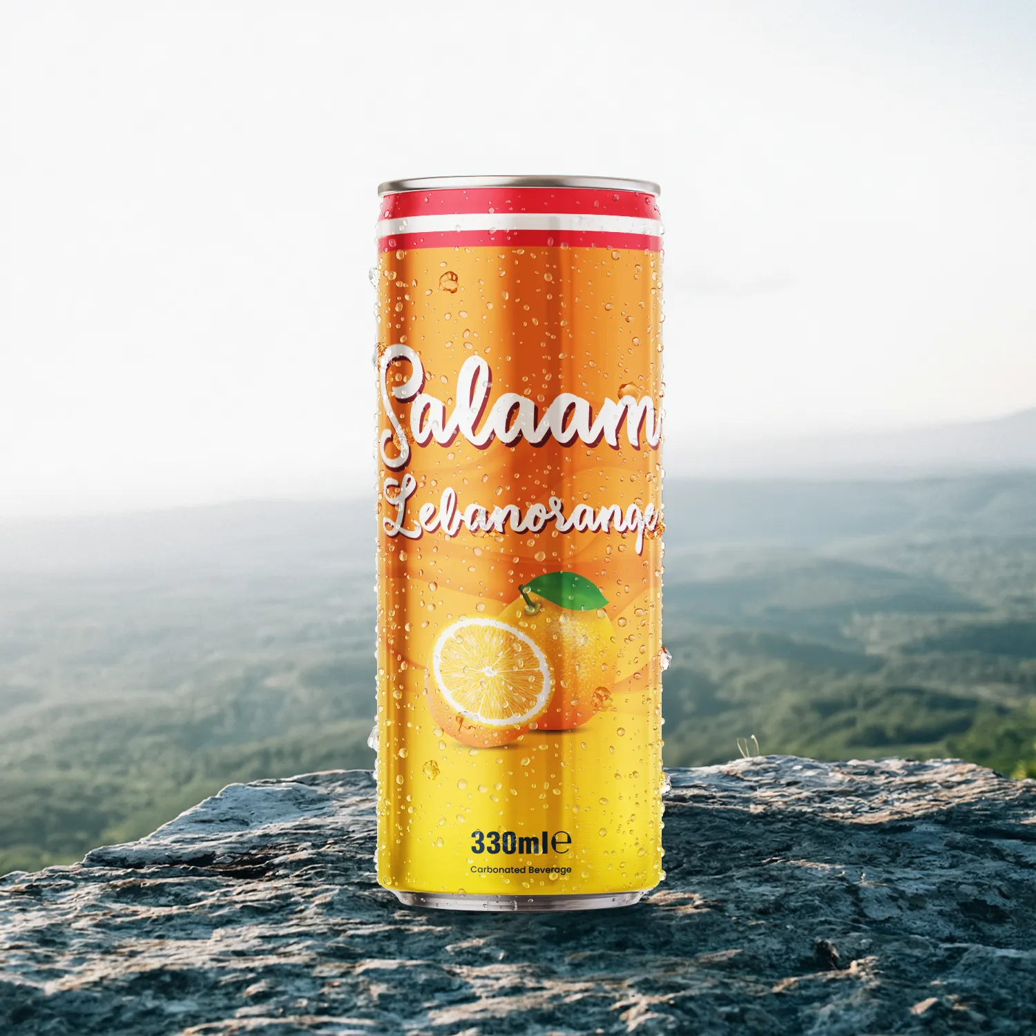 Salaam Lebonorange
