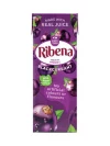 Ribena Blackcurrant Carton